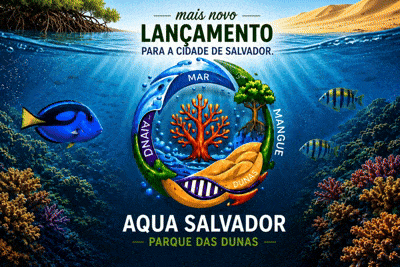Novo projeto aproxima visitantes da riqueza marinha de Salvador