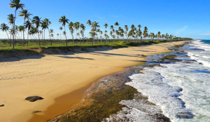 Massarandupió natureza e liberdade na Linha Verde