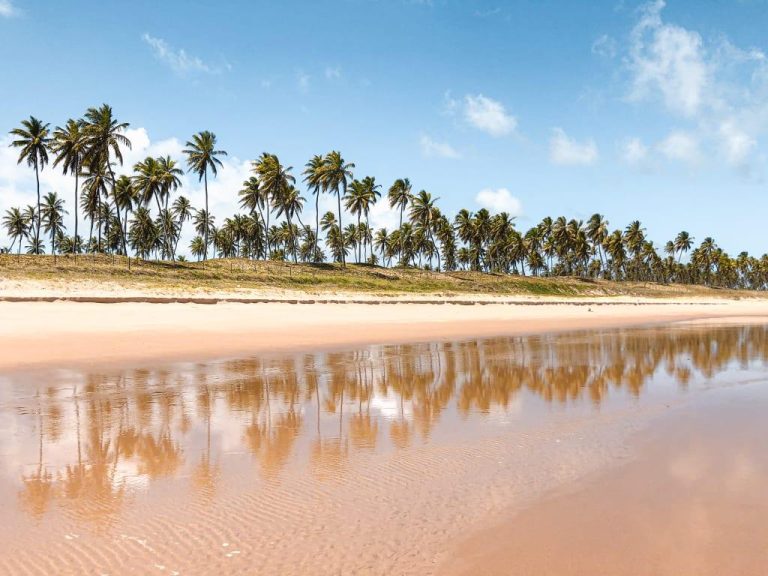 O que as pessoas mais procuram na Costa dos Coqueiros