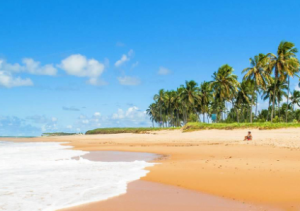Costa dos Coqueiros: um paraíso entre praias, rios e história na Bahia