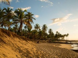 Costa dos Coqueiros: um paraíso entre praias, rios e história na Bahia