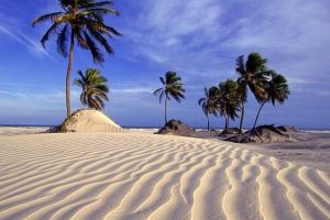 Mangue Seco: charme, natureza e magia na Costa dos Coqueiros